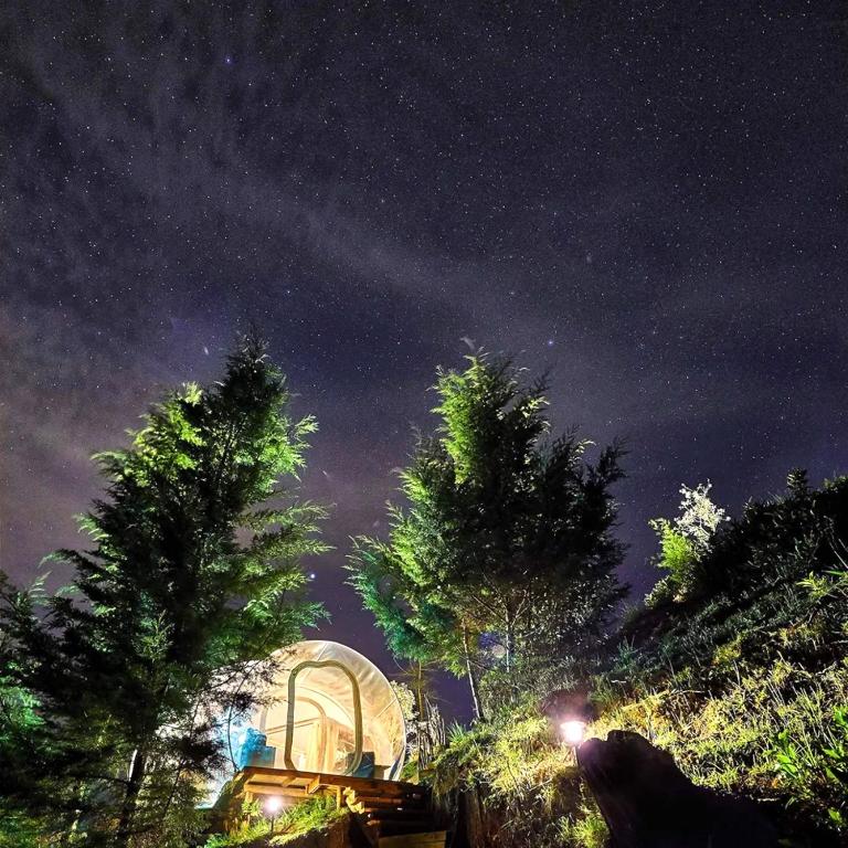Zahrada ubytování BubbleSky Glamping 40 min from Medellin