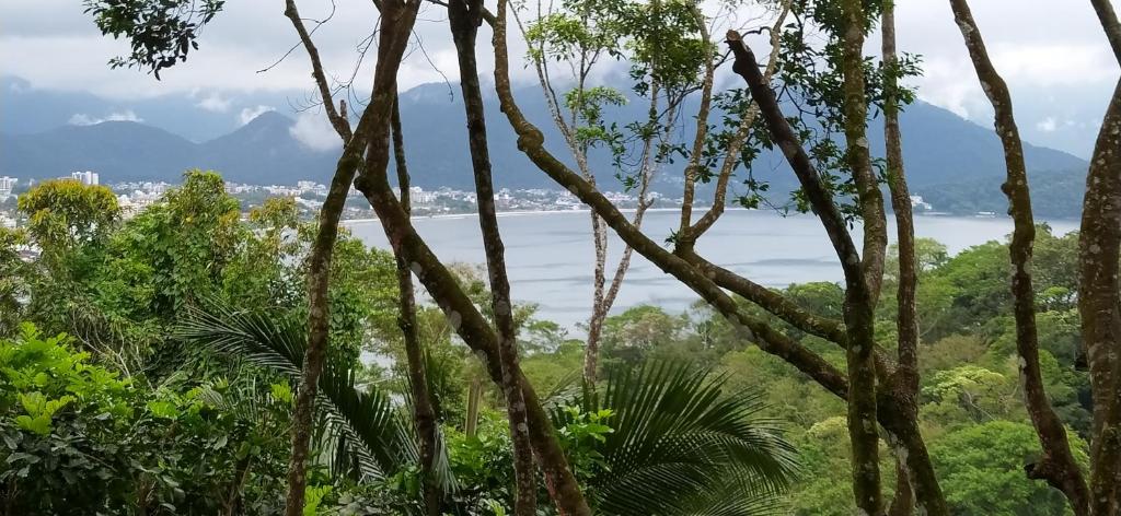 a view of a body of water through trees at Pousada Ubatuba do Alto in Ubatuba