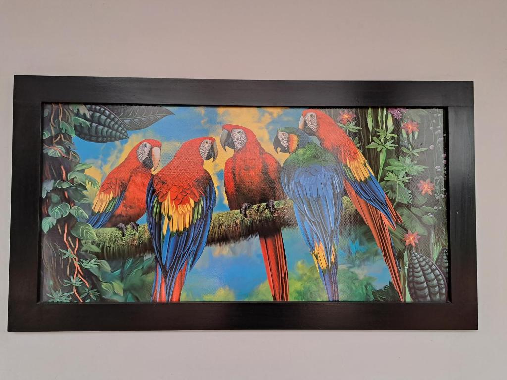 Fotografie z fotogalerie ubytování Hotel Mi Casita Pereira v destinaci Pereira