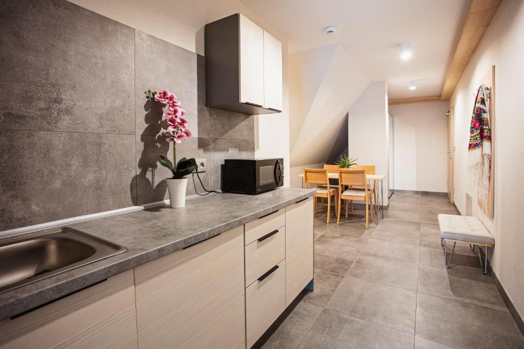 Kuchyň nebo kuchyňský kout v ubytování Villa Cannes Resort Zakopane - grota solna, sauna fińska