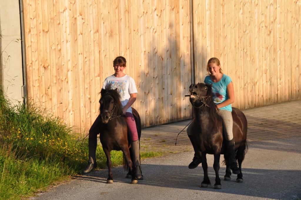 Zvieratá v penzióne/hostinci alebo blízkom okolí