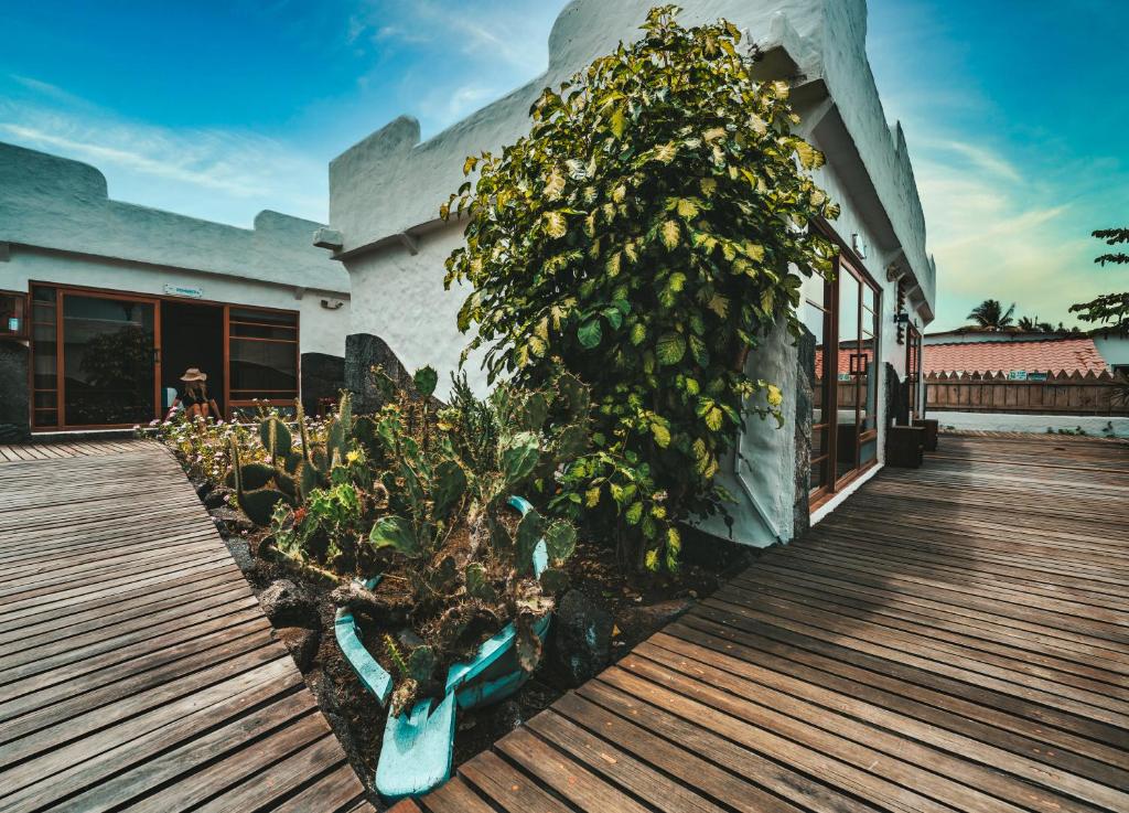 Zahrada ubytování Isamar Hotel