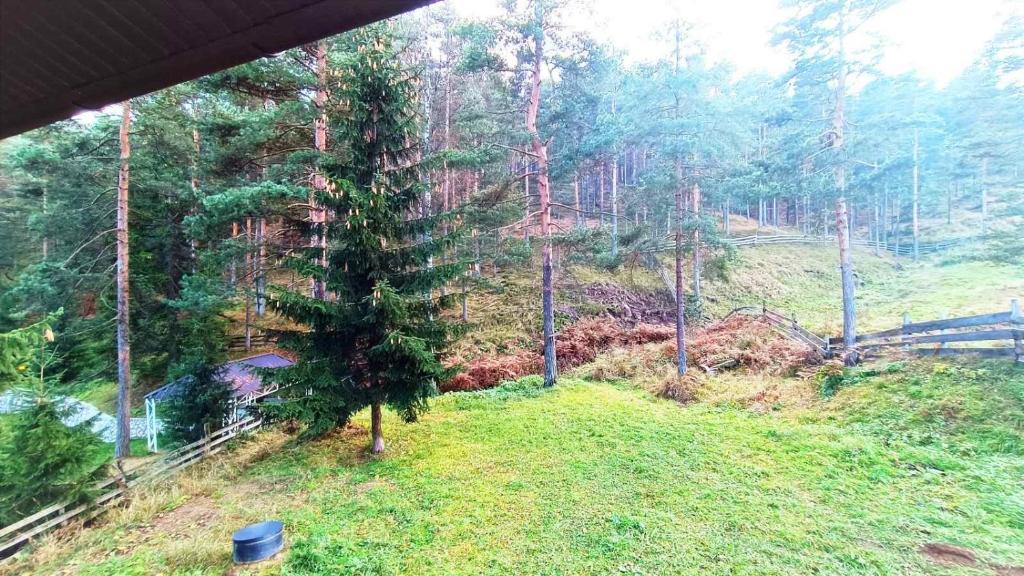 Náttúran í nágrenni sumarhússins