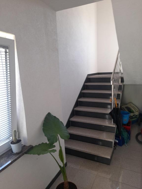 Apartman Zoran - Apartamento De Tres Habitaciones