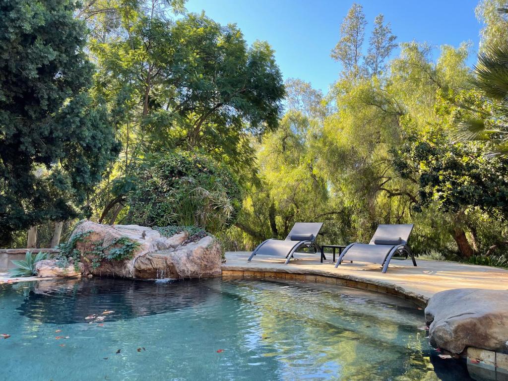 Turtle, Calabasas (updated prices 2024)