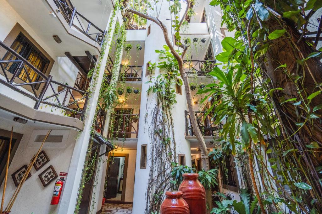 Posada Mariposa Boutique Hotel - 5th Avenue photo