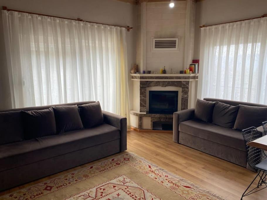 sala de estar con 2 sofás y chimenea en VILLA ECRİN, 