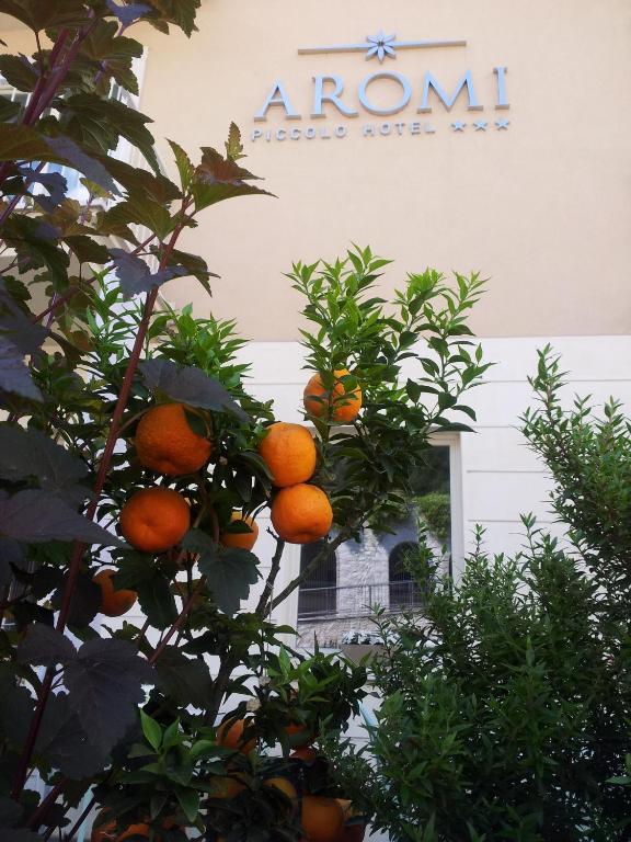 Fotografija v galeriji nastanitve Aromi Piccolo Hotel v mestu Salò