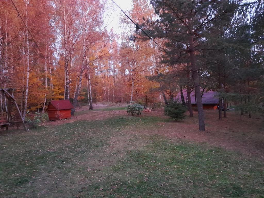 Fotografia z galérie ubytovania HARFA v destinácii Chrztowo