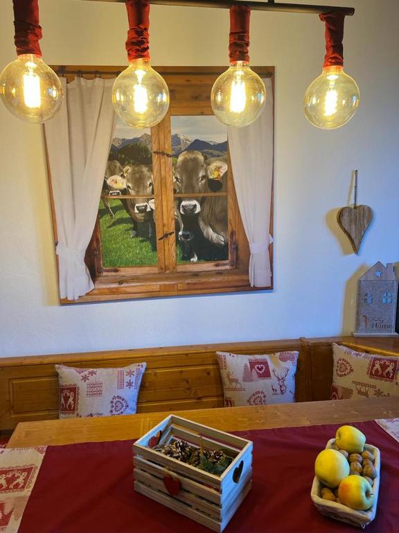 Jedlo v apartmáne alebo blízkom okolí