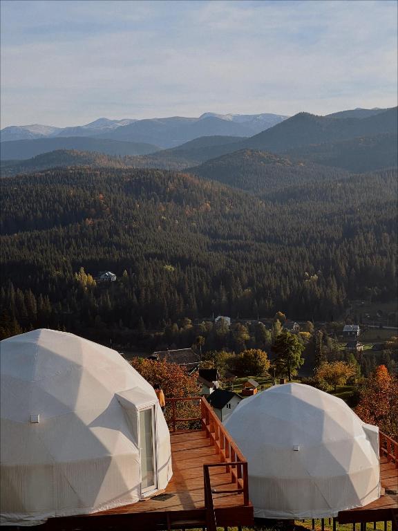 Příroda nedaleko luxury tent