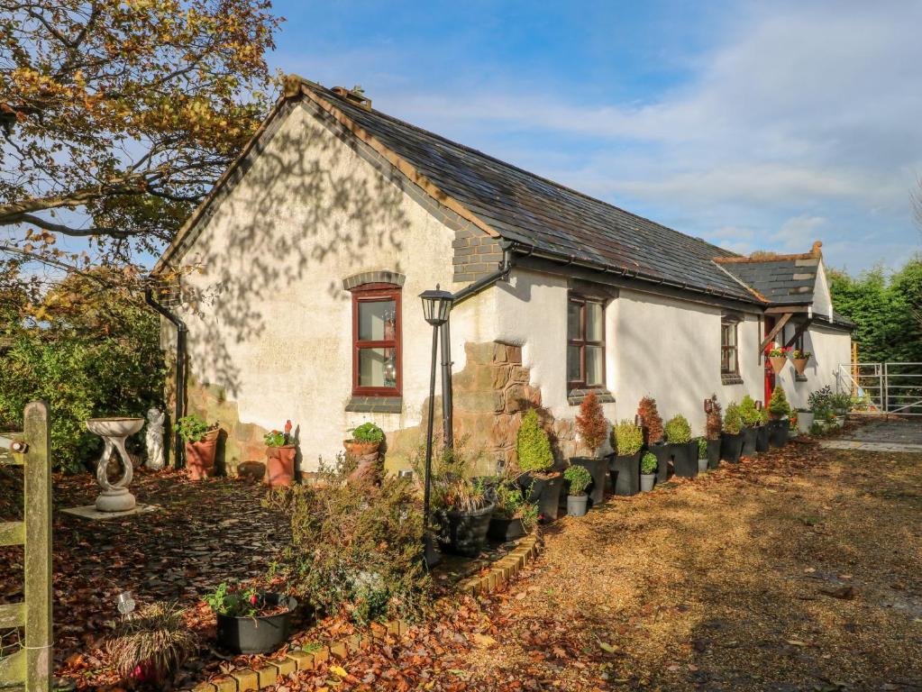 una pequeña casa con plantas delante en Burnt Oak Stables en Mold