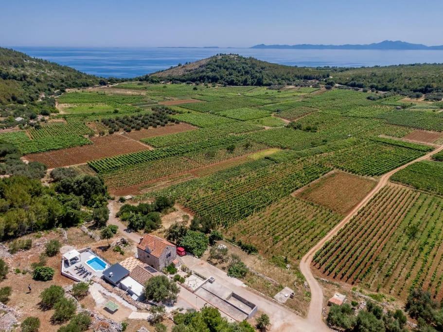 an aerial view of a vineyard with a house at Prapatna in Smokvica