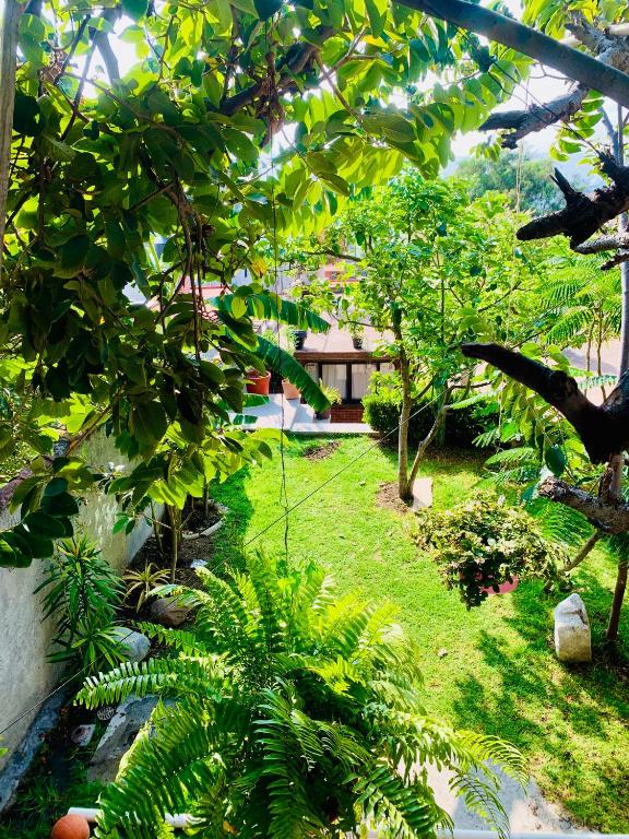 a garden with trees and a house in the background at Casa Rústica in Atlixco
