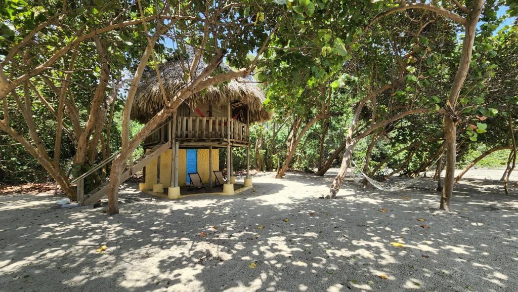 Zahrada ubytování Ecolodge Playa Brava Teyumakke