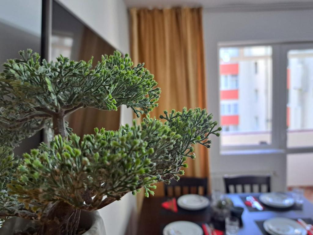 un vase avec une plante sur une table dans l'établissement Aviliz Apartament Bușteni, à Buşteni