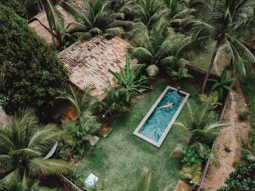 uma vista sobre uma piscina num quintal com palmeiras em Pousada Peixe do Mato em São Miguel dos Milagres