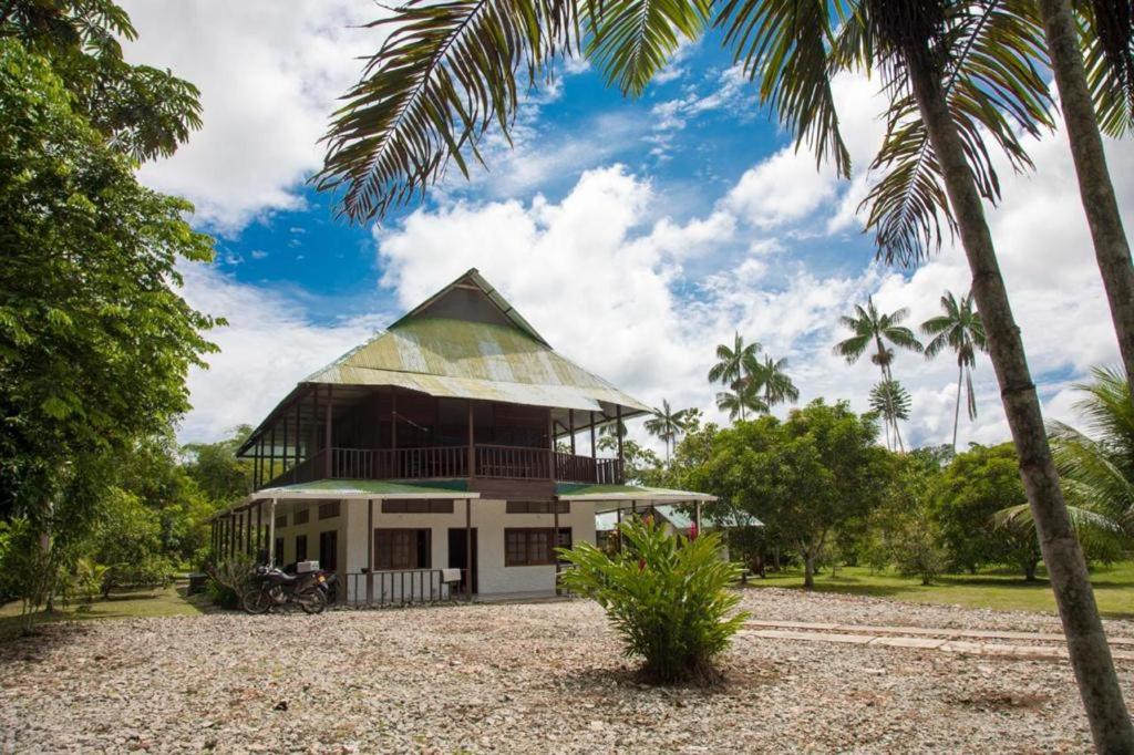 une maison au toit de chaume avec un palmier dans l'établissement Casa Finca Villa Laura, à Leticia
