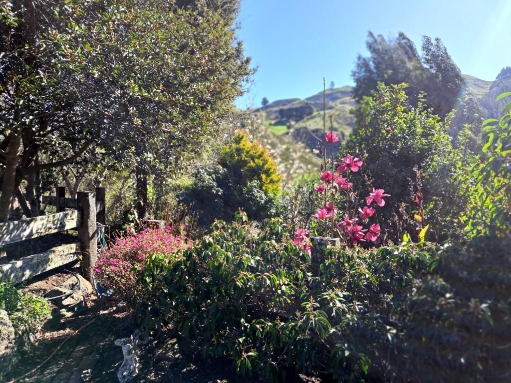 Brightwater Retreat, Tranquil 3bdrm House Near Richmond