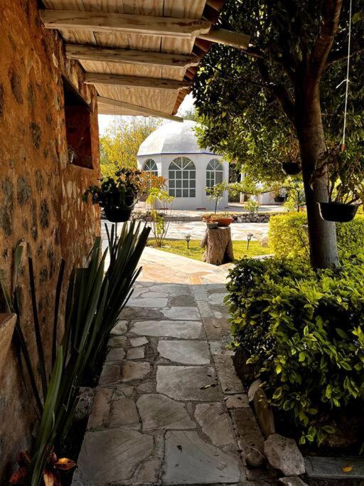 a stone walkway leading to a house with a tree at Casa Corazón in Celaya