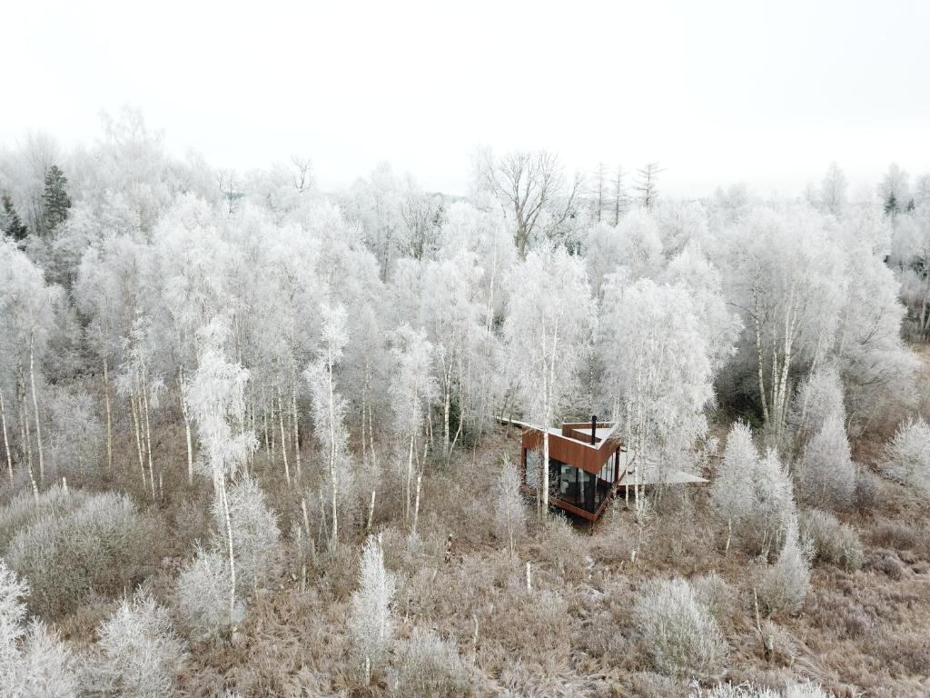 widok z powietrza na domek na środku lasu w obiekcie Maidla Nature Resort w mieście Maidla