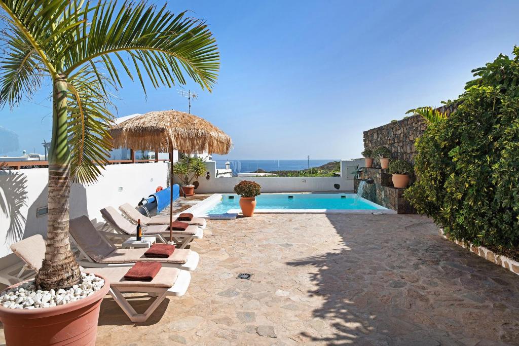 a pool with lounge chairs and a palm tree at Casa Golondrina in Teguise