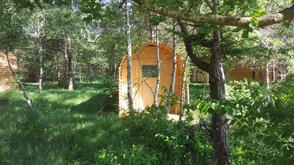 eine orangefarbene Tür inmitten eines Grasfeldes in der Unterkunft Glamping Pod im Wald mit Hund in Nordholz
