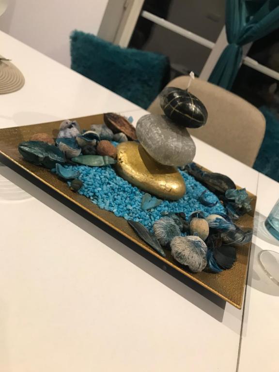a display of rocks and shells on a table at Brasov Cucu Residence in Braşov
