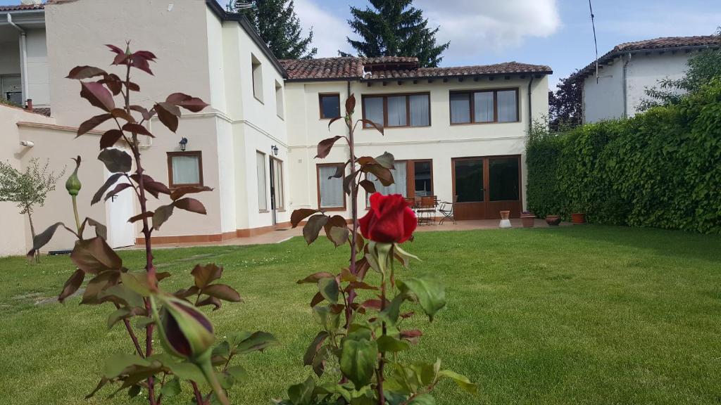 uma rosa vermelha no quintal de uma casa em Casa la Manzanera em Burgos