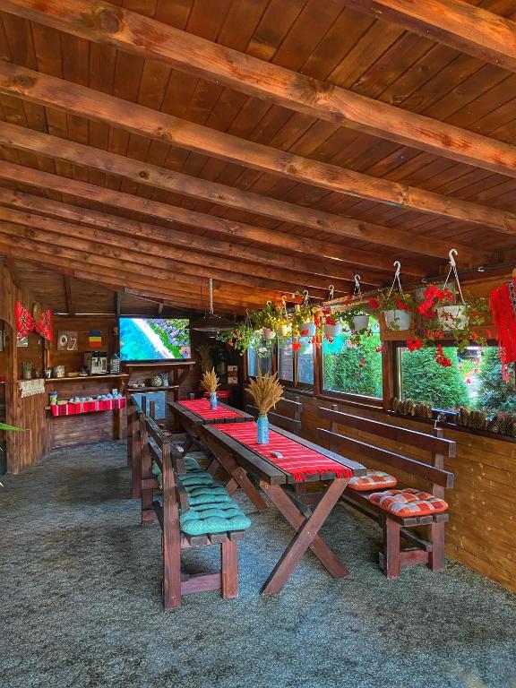 Biliár nebo kulečník v ubytování Grădina de Vară “La Cristian”