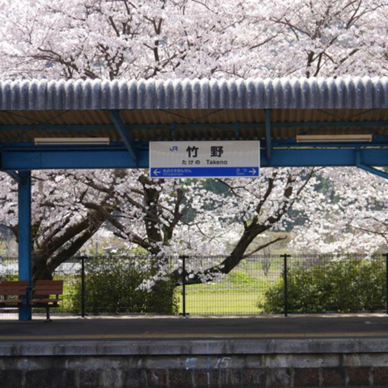 Fotografie z fotogalerie ubytování Kyukamura Takeno-Kaigan v destinaci Toyooka