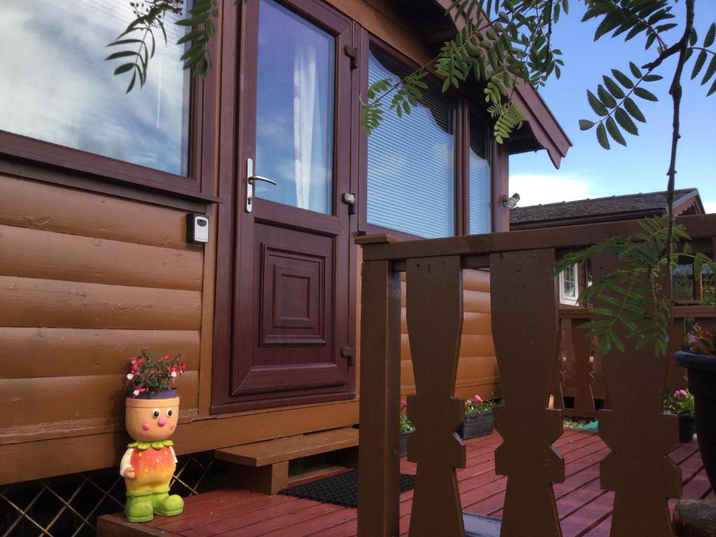 uma porta da frente de uma casa com um vaso de flores num alpendre em Snowdonia National park Log cabin with garden em Trawsfynydd