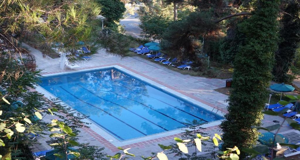 Bazén v ubytování Forest Park Hotel nebo v jeho okolí