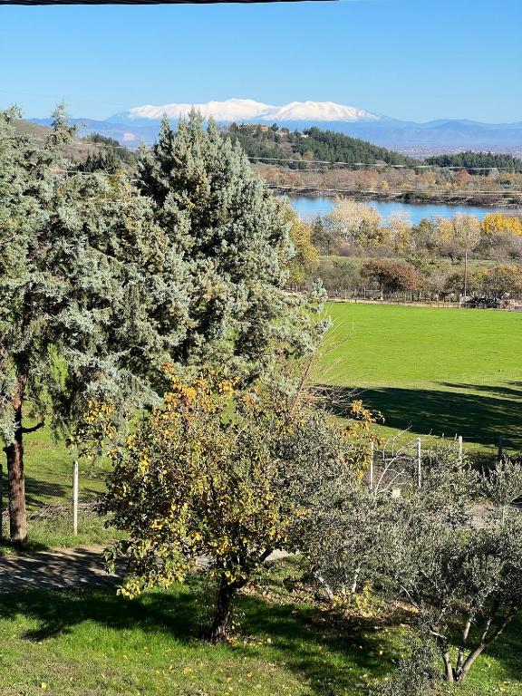 Príroda v okolí apartmánu