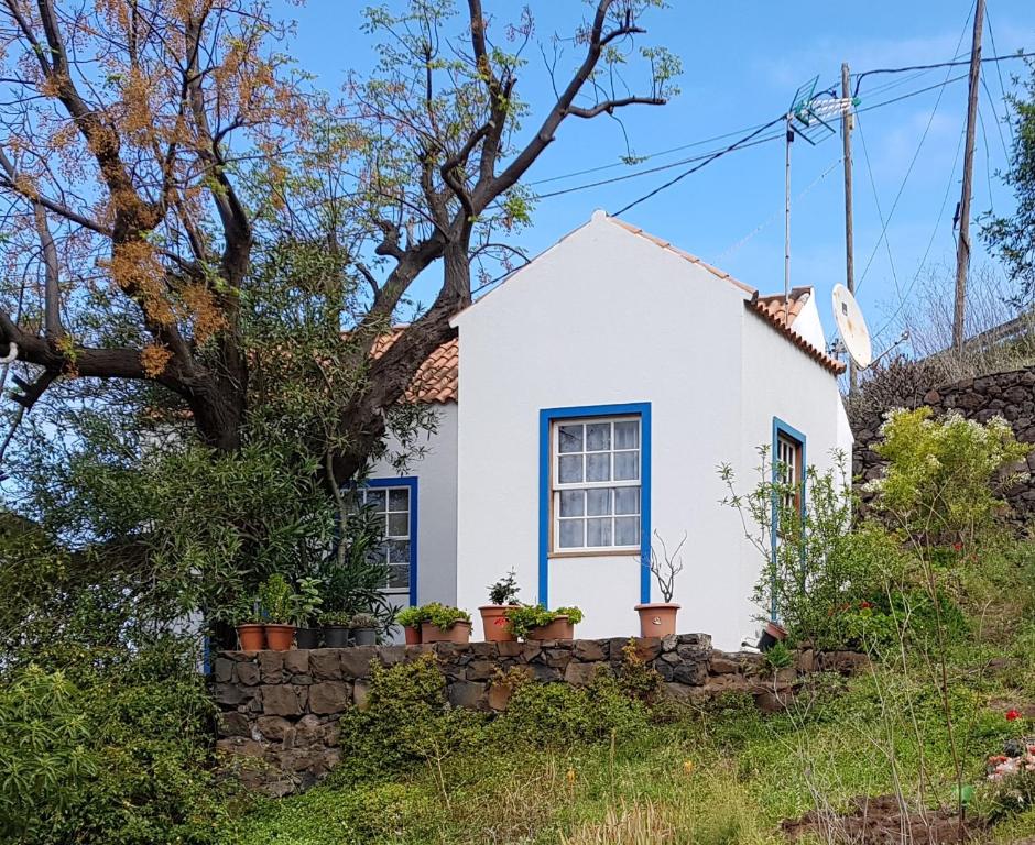 una casa blanca con plantas en una pared de piedra en Casa Dos Aguas, en Garafía