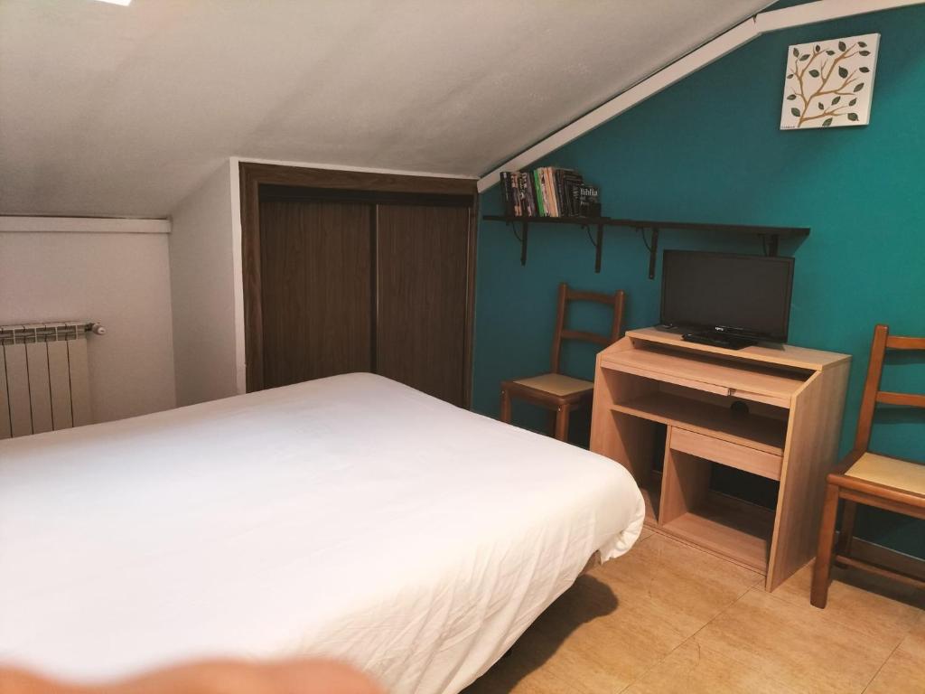 a bedroom with a bed and a desk with a television at Hostal El Descanso in Madrid