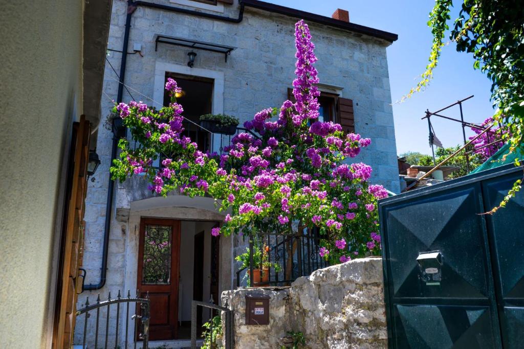 Vonkajšia záhrada v ubytovaní Stone House Marino