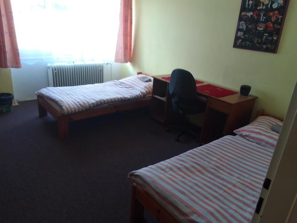 Postel nebo postele na pokoji v ubytování Chata Nová Huť