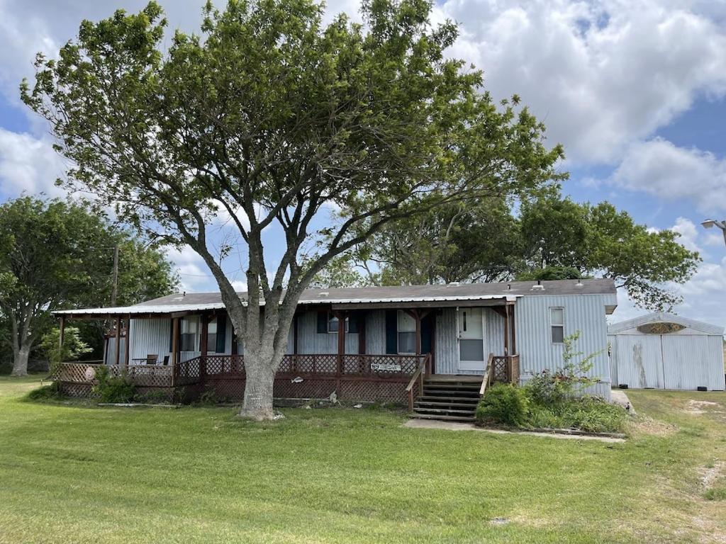 a small house with a tree in the yard at Edgewater Getaway in Port Lavaca