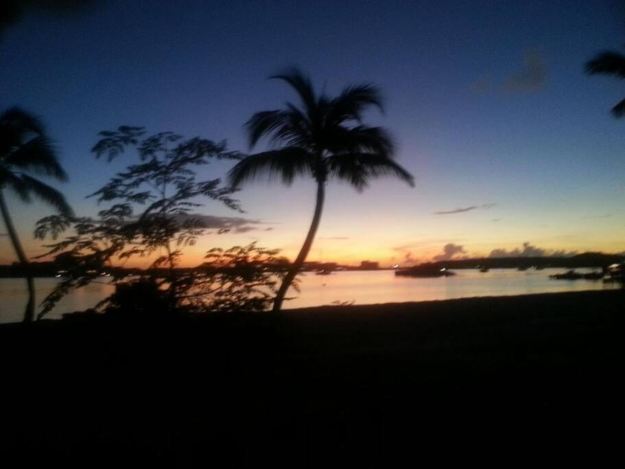 einen Sonnenuntergang mit Palmen und einem Wasserkörper in der Unterkunft Petit coin de paradis in Baie Nettle