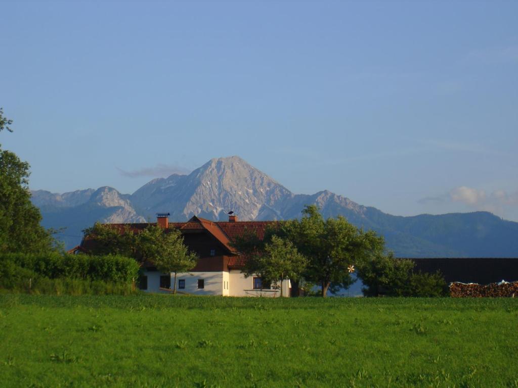 Příroda nedaleko farmy