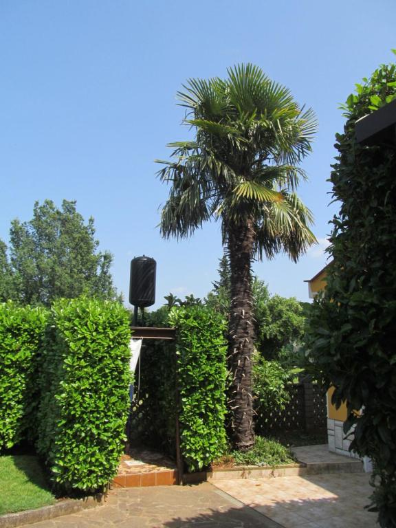 Zahrada ubytování Apartments ZVEZDICA*** with garden