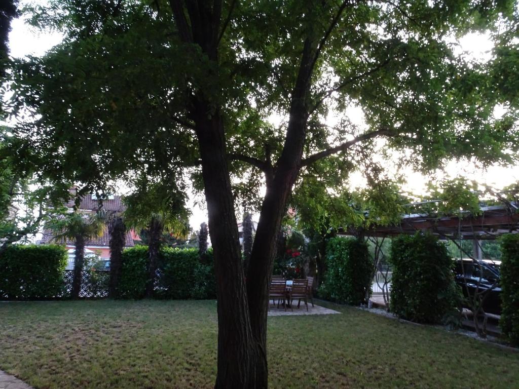 Zahrada ubytování Apartments ZVEZDICA*** with garden