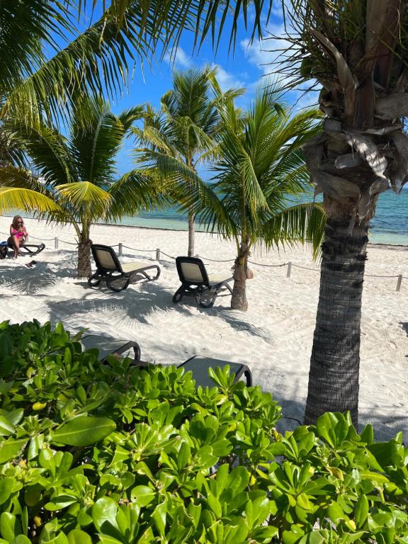 a beach with chairs and palm trees and the ocean at Beachfront Loft Amara Cancun in Cancún