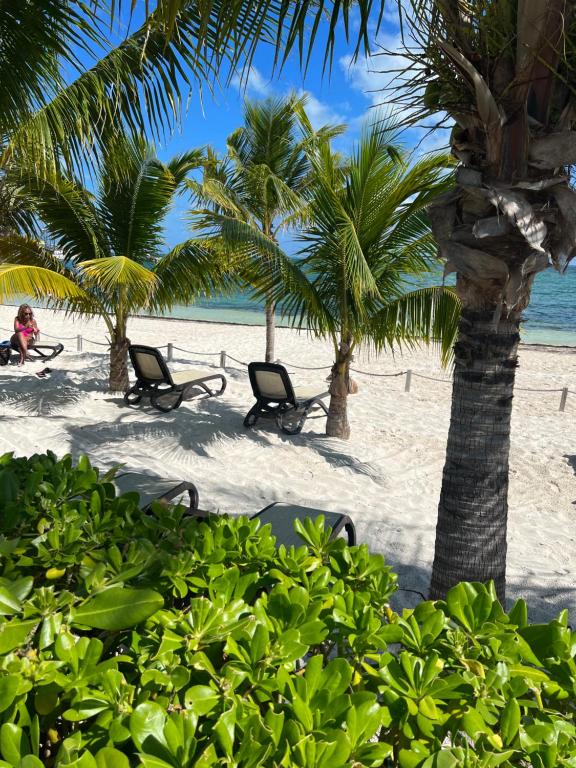 Beachfront Loft Amara Cancun - Hizvo