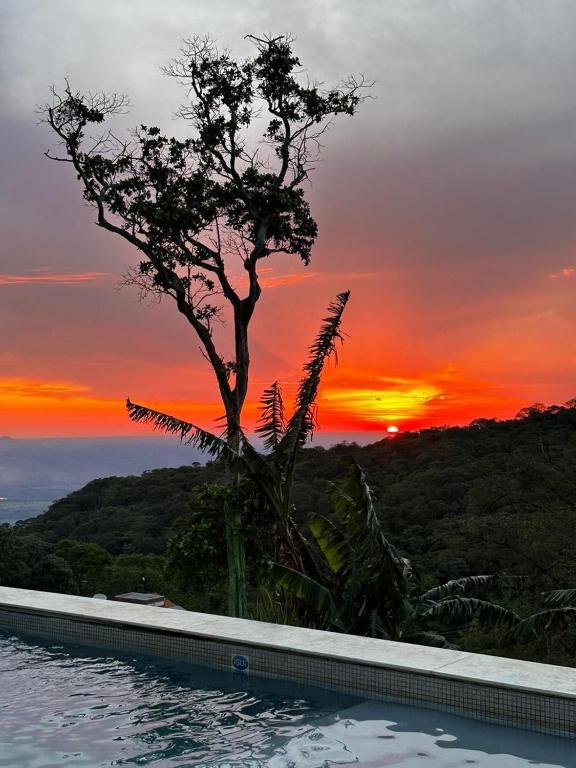 a tree and a pool with a sunset in the background at Paraíso do Morro dos Ventos in Chapada dos Guimarães