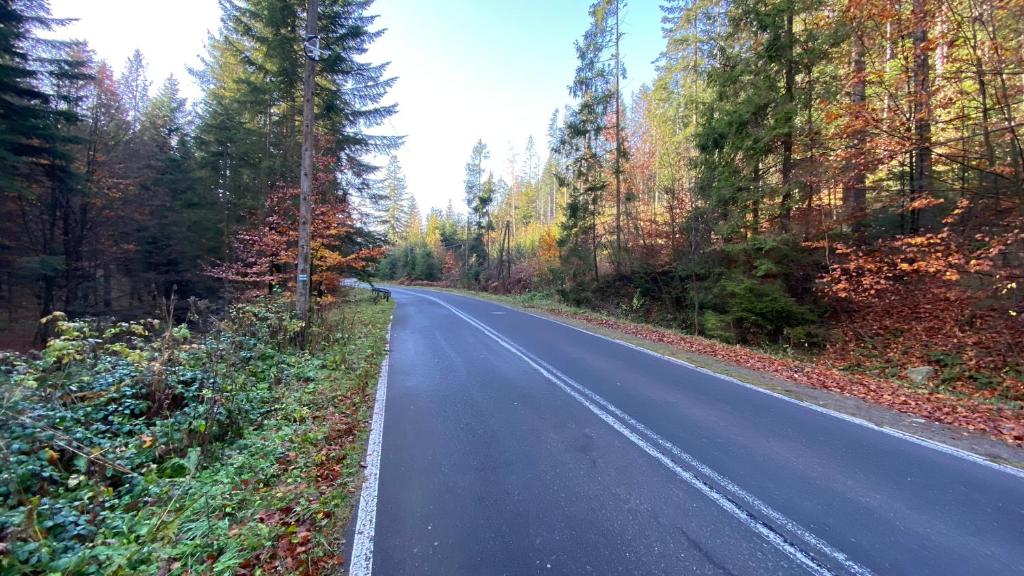 Príroda v okolí apartmánu