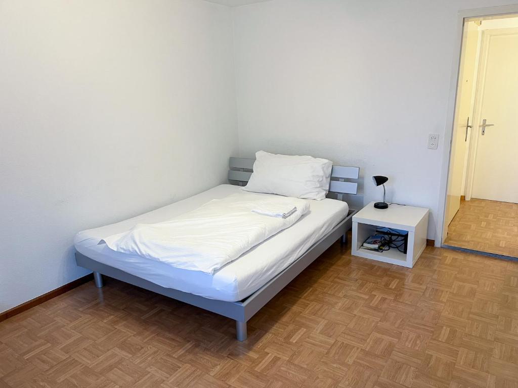 Schöne grosse Attika-Wohnung im Zentrum von Vaduz inkl. Parkplatz - Hizvo