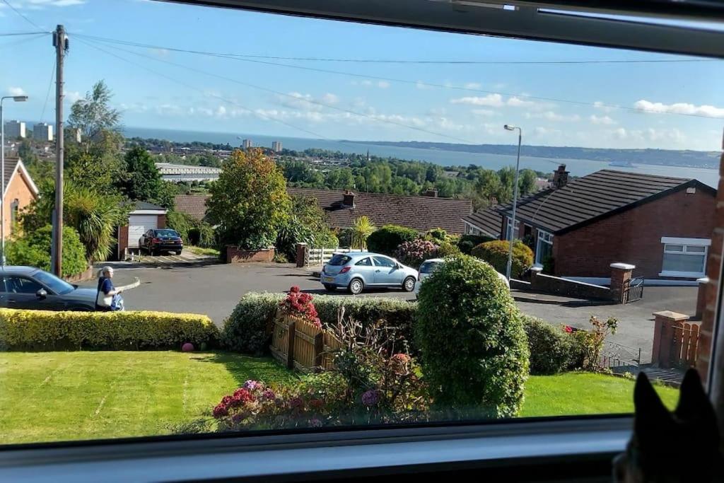 a view from a window of a parking lot with cars at Bellevue Bungalow in Belfast