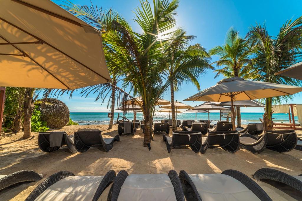 een strand met stoelen en parasols en de oceaan bij Mvngata Beach Hotel in Playa del Carmen
